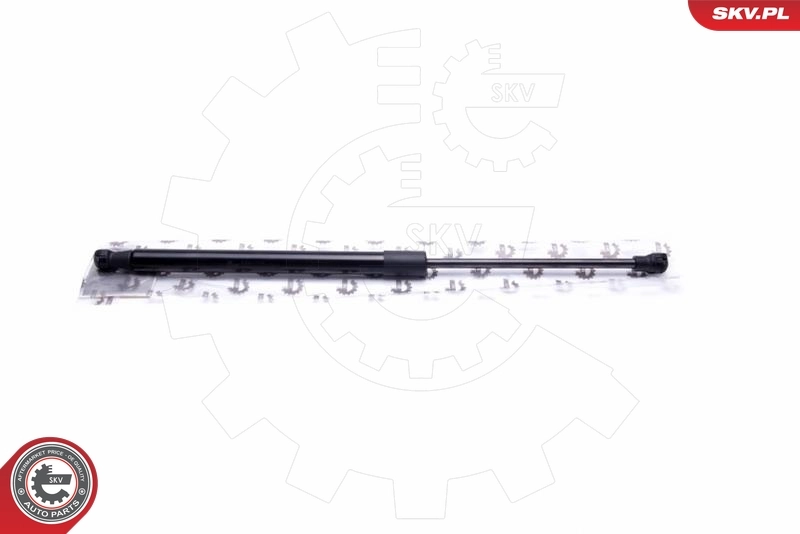 Gas Spring, boot/cargo area